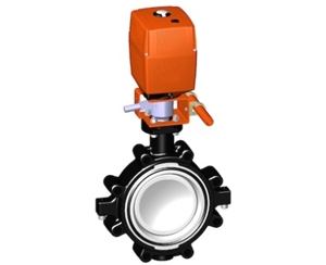 電動(dòng)蝶閥，24V 帶手動(dòng)手柄、+GF+電動(dòng)蝶閥 電動(dòng)塑料蝶閥